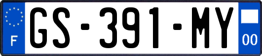 GS-391-MY