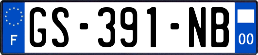 GS-391-NB