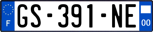 GS-391-NE