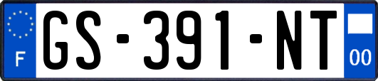 GS-391-NT