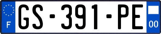 GS-391-PE