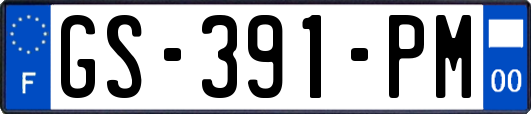 GS-391-PM