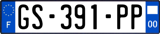 GS-391-PP