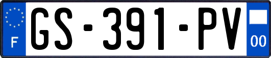 GS-391-PV
