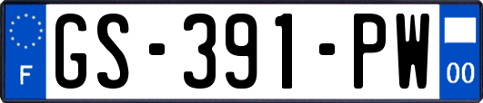 GS-391-PW