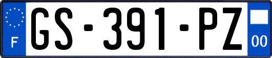GS-391-PZ