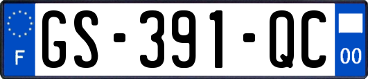 GS-391-QC