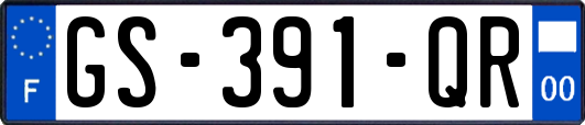 GS-391-QR