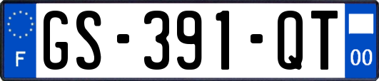 GS-391-QT