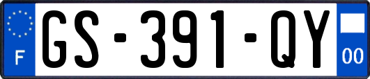 GS-391-QY