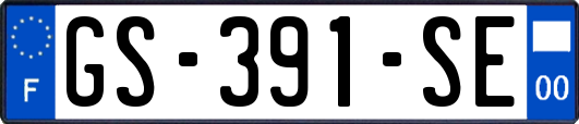 GS-391-SE