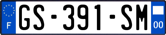 GS-391-SM
