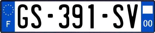 GS-391-SV