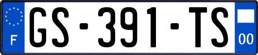 GS-391-TS