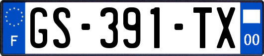 GS-391-TX