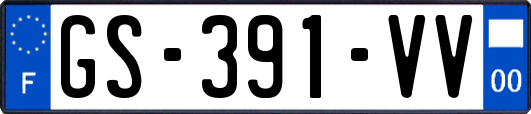 GS-391-VV