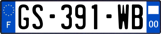 GS-391-WB