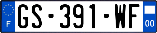 GS-391-WF