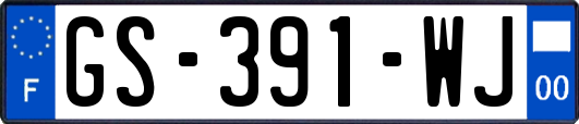 GS-391-WJ