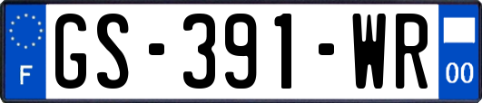 GS-391-WR