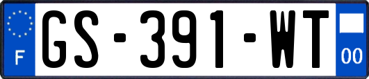 GS-391-WT