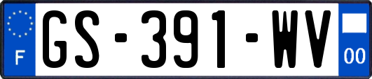 GS-391-WV