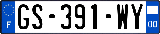GS-391-WY