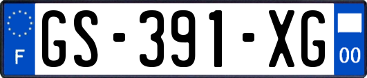 GS-391-XG