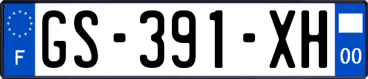 GS-391-XH