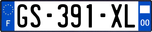 GS-391-XL