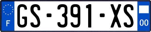 GS-391-XS