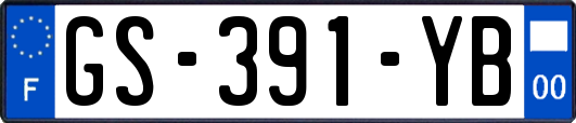 GS-391-YB