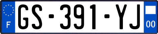 GS-391-YJ