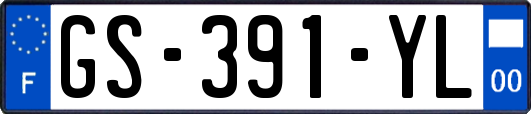 GS-391-YL