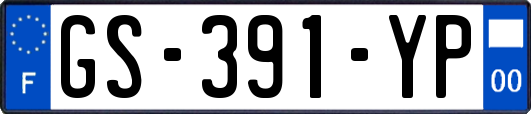 GS-391-YP
