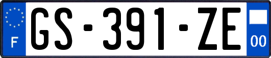 GS-391-ZE