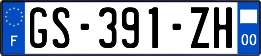 GS-391-ZH