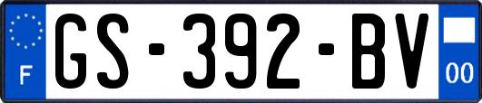 GS-392-BV