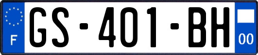 GS-401-BH