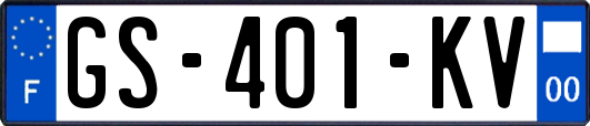 GS-401-KV