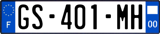 GS-401-MH