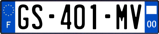 GS-401-MV