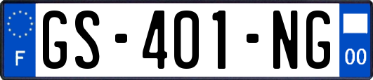 GS-401-NG