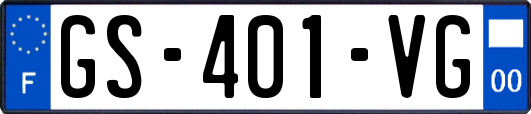 GS-401-VG