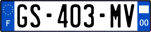 GS-403-MV