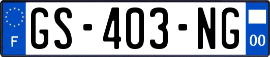 GS-403-NG