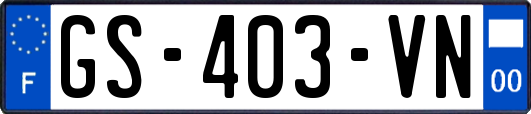 GS-403-VN
