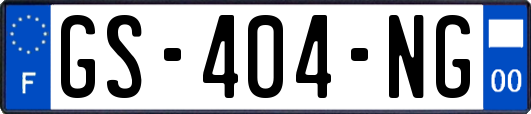 GS-404-NG