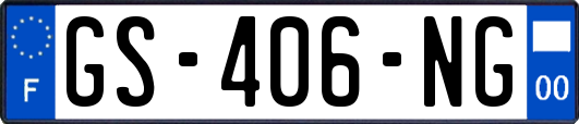 GS-406-NG