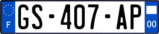 GS-407-AP